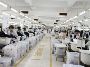 內(nèi)衣廠家為何信賴波而朵 品質(zhì)、創(chuàng)新與服務的三重保障